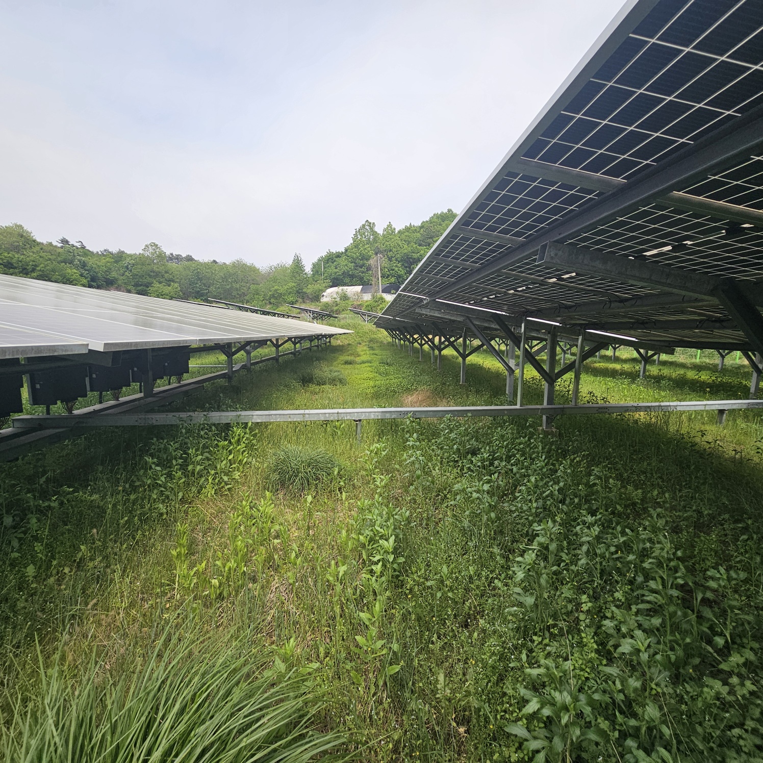 충남 청양 태양광 발전소 전경